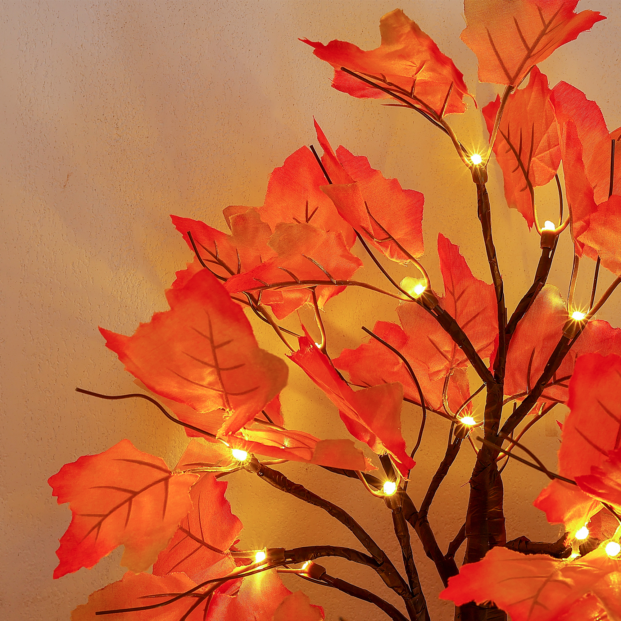 Luces del árbol de arce