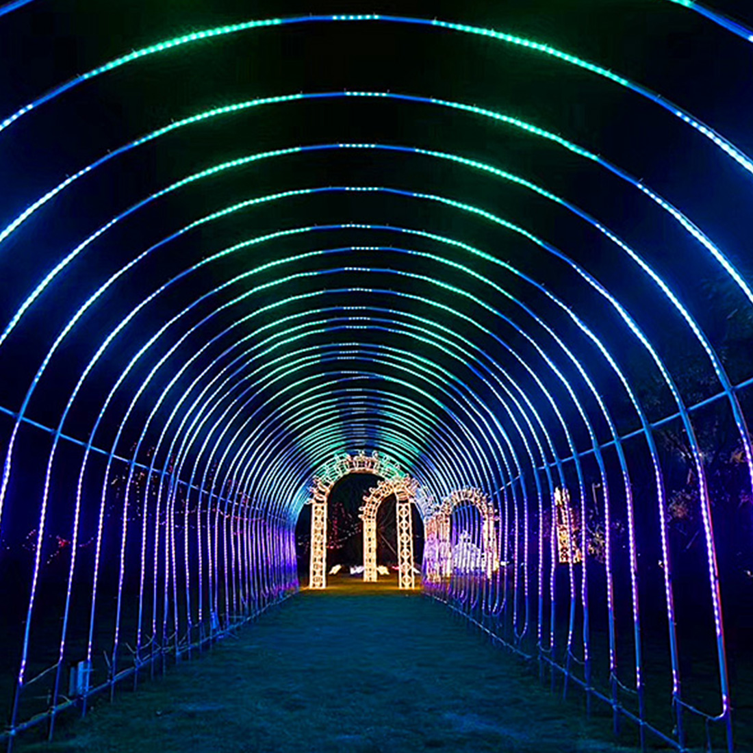 Imagen de escena de luces de arco en forma de corazón de Navidad al aire libre