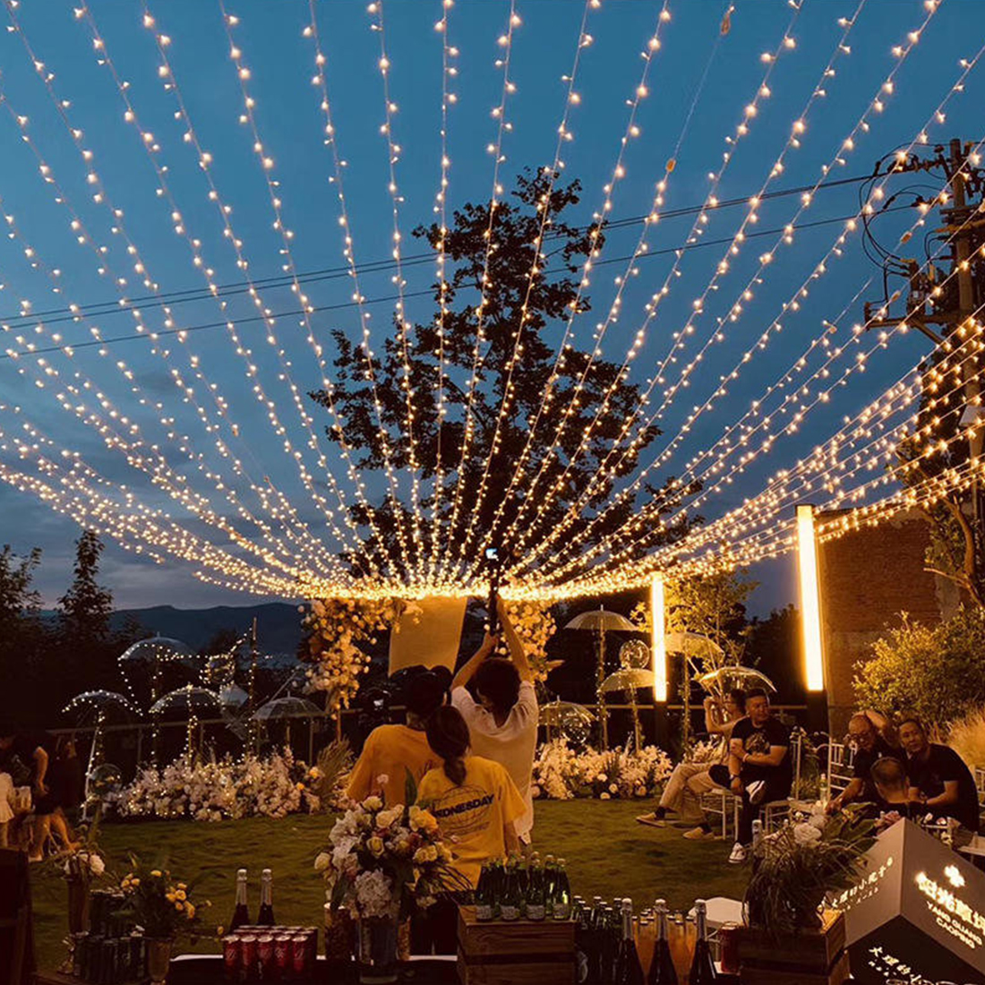 Bodas Eventos Cortina de hadas Luces de cadena