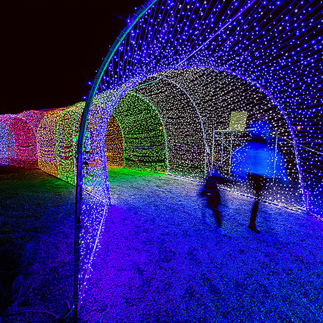 Imagen de escena de luces de arco en forma de corazón de Navidad al aire libre